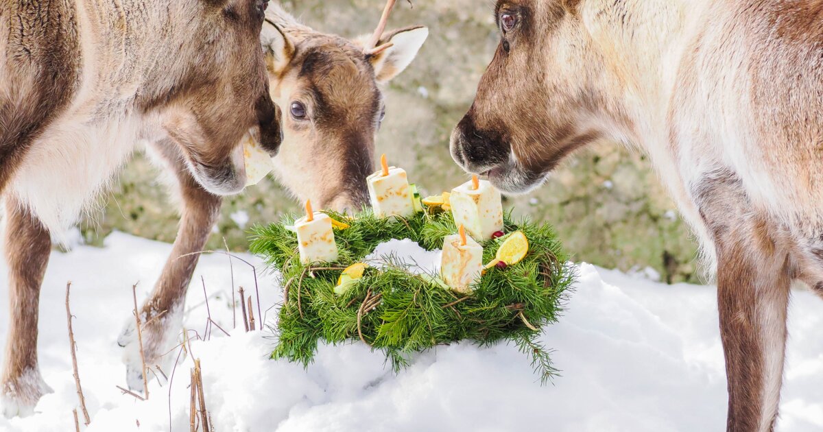 Warten aufs Christkind